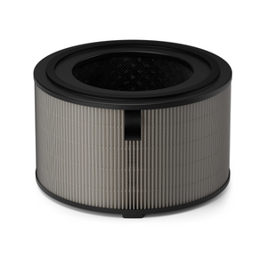 Philips FY4200 Hepa Filter for AC4220 and AC4221 Models (Pack of 2)