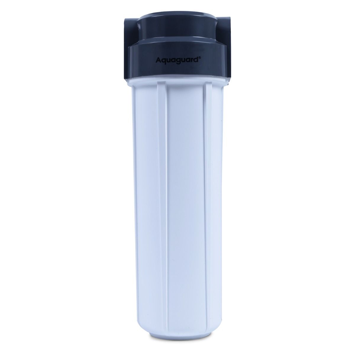 Eureka Forbes Aquaguard Pre Filter Assembly RO - PL6